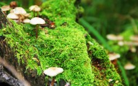 世界保龄球高校联赛春夏赛季优秀学员技术榜单公布，世界保龄球大赛视频