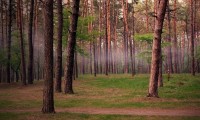 世界羽毛球赛教练员技术提升课程全国巡回开启，2021羽毛球国家队教练